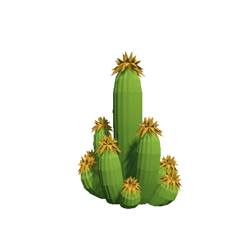 Cactus_B_10