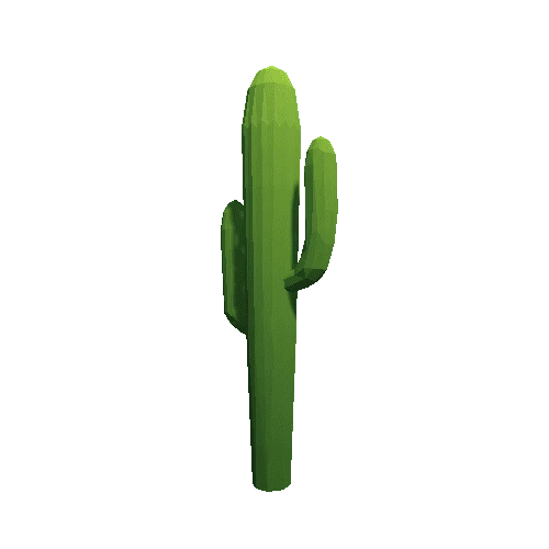 Cactus_B_LP_01