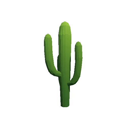 Cactus_B_LP_06