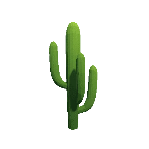 Cactus_B_LP_07
