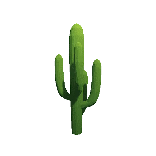 Cactus_B_LP_08