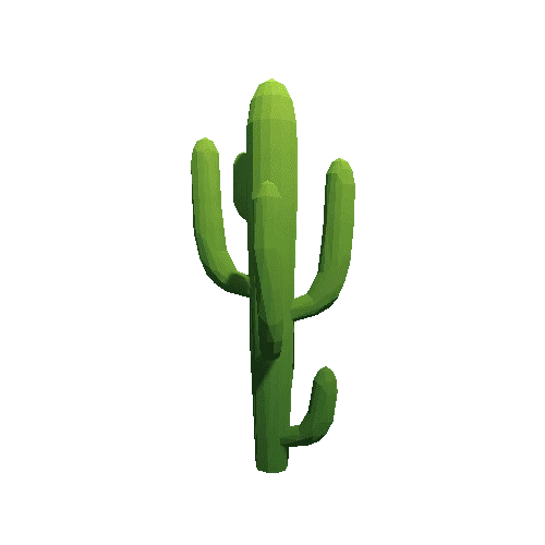 Cactus_B_LP_09