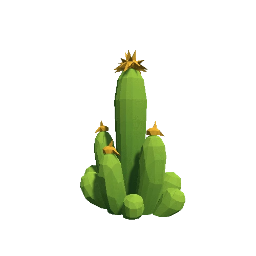 Cactus_B_LP_10