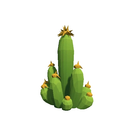 Cactus_B_MP_10