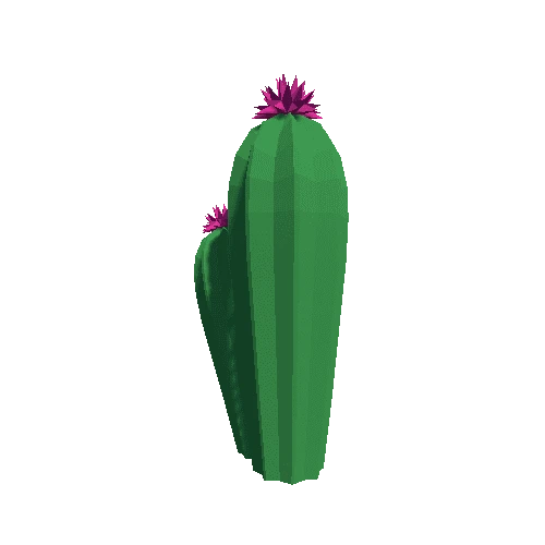 Cactus_Little_A_01