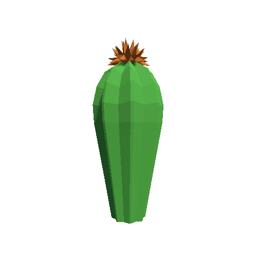 Cactus_Little_A_03