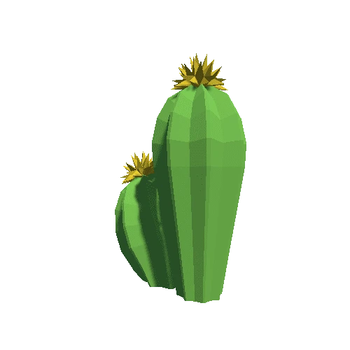 Cactus_Little_A_04