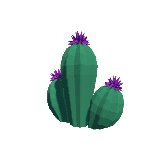 Cactus_Little_A_05