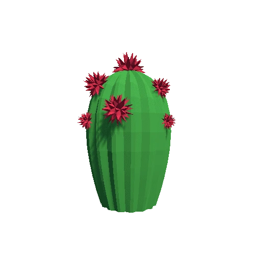 Cactus_Little_A_07