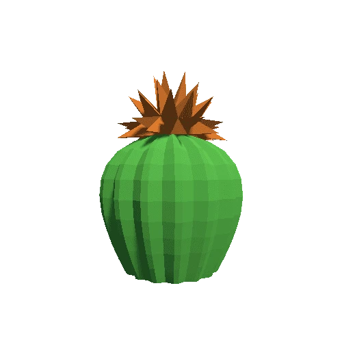 Cactus_Little_A_08