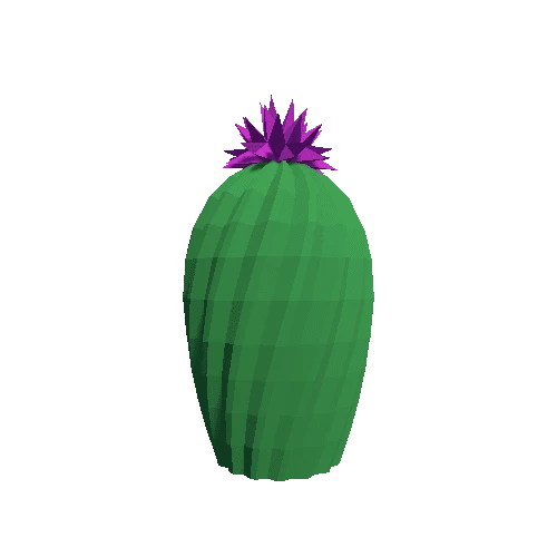 Cactus_Little_A_09