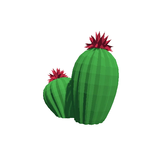 Cactus_Little_A_10