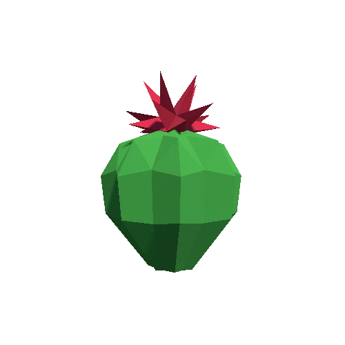 Cactus_Little_A_LP_02