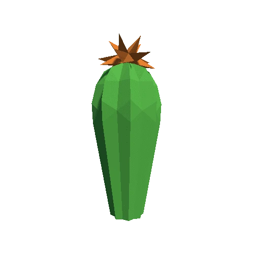 Cactus_Little_A_LP_03