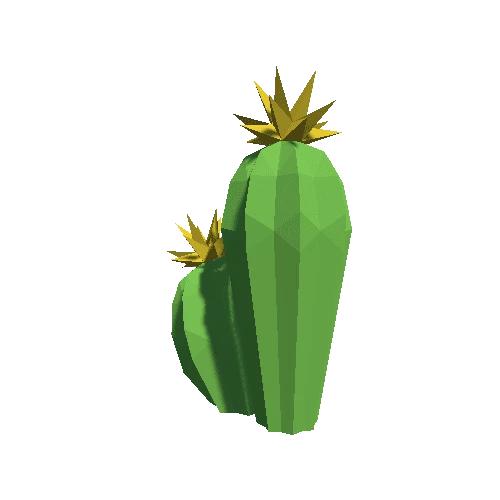 Cactus_Little_A_LP_04