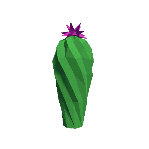 Cactus_Little_A_LP_06