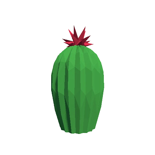 Cactus_Little_A_LP_07