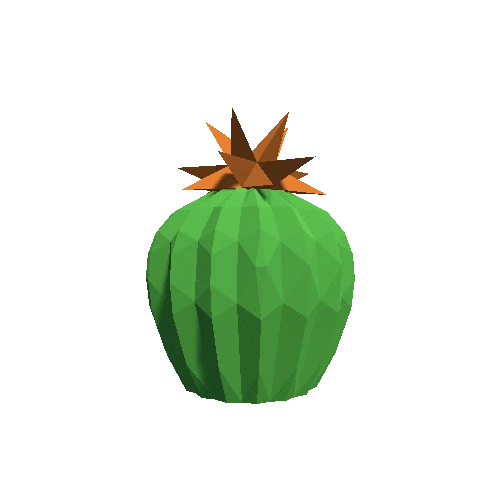 Cactus_Little_A_LP_08