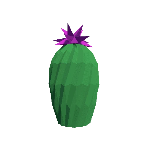 Cactus_Little_A_LP_09