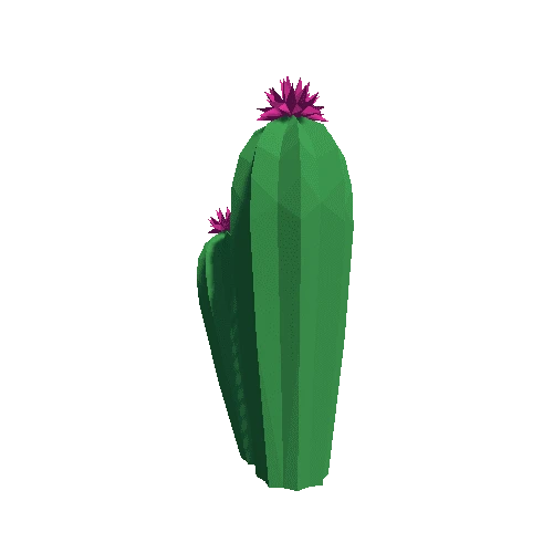 Cactus_Little_A_MP_01