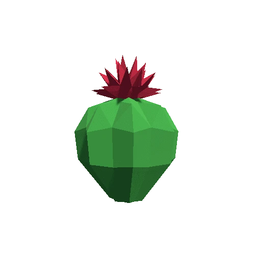 Cactus_Little_A_MP_02