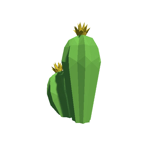 Cactus_Little_A_MP_04