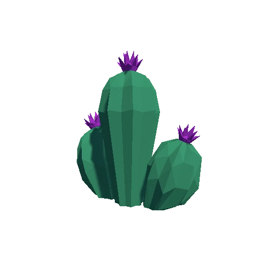 Cactus_Little_A_MP_05