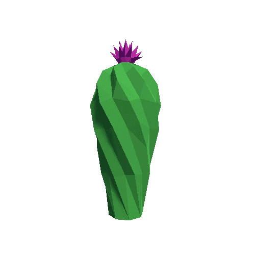 Cactus_Little_A_MP_06