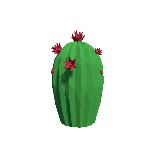 Cactus_Little_A_MP_07