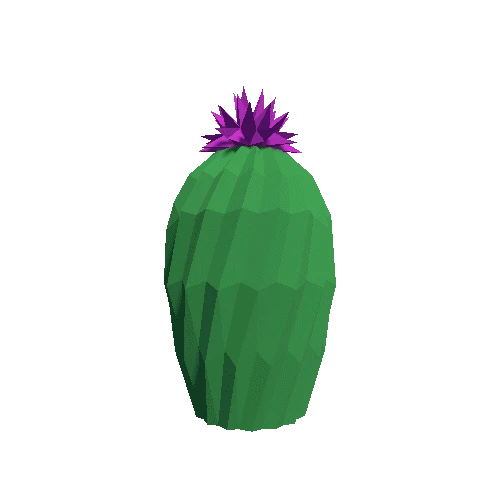 Cactus_Little_A_MP_09