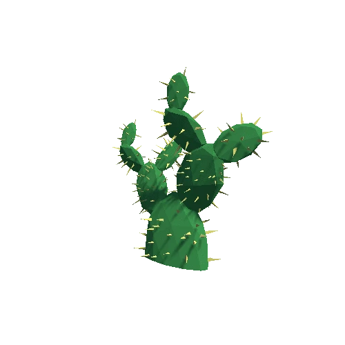 Cactus_Other_A_01