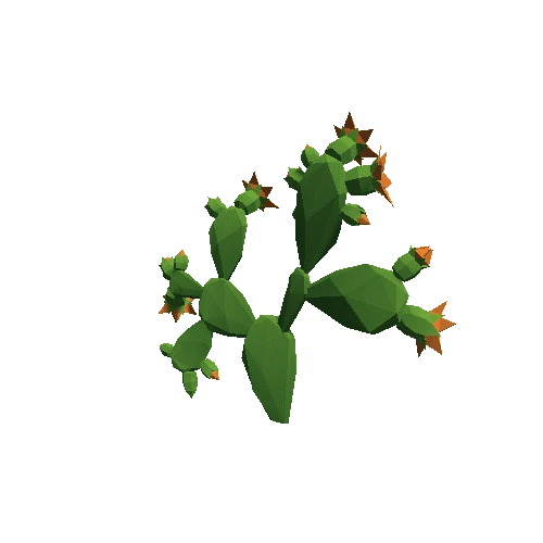 Cactus_Other_B_02