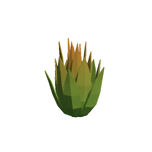 Cactus_Other_C_05