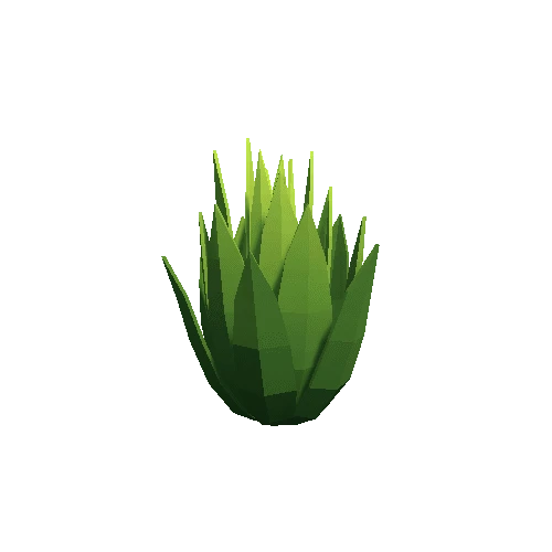 Cactus_Other_C_06