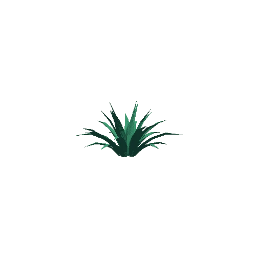 Cactus_Other_C_LP_01