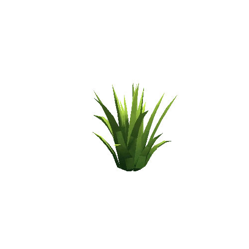 Cactus_Other_C_LP_02