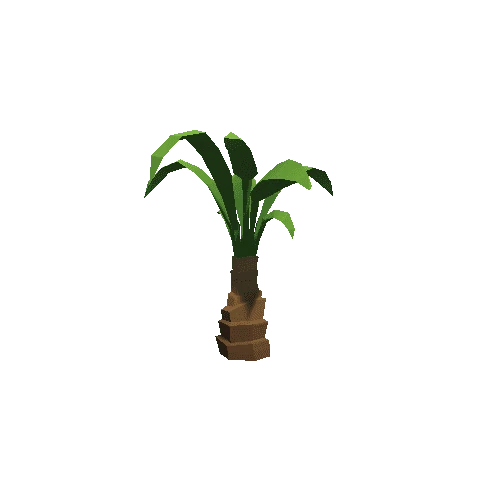 Palm-Tree_A_01