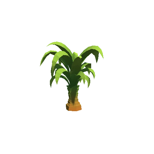 Palm-Tree_A_05