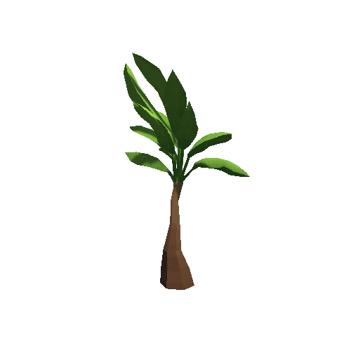 Palm-Tree_A_07