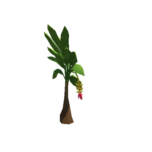 Palm-Tree_A_08