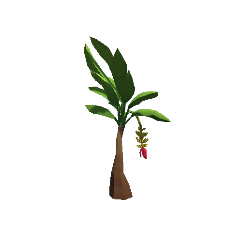 Palm-Tree_A_09