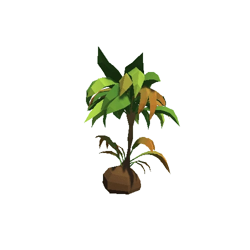 Palm-Tree_A_10