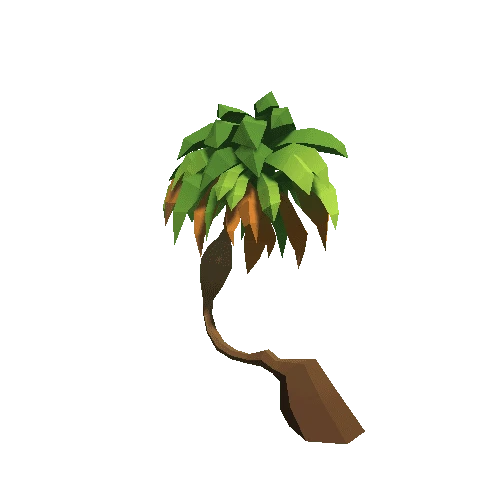Palm-Tree_A_11