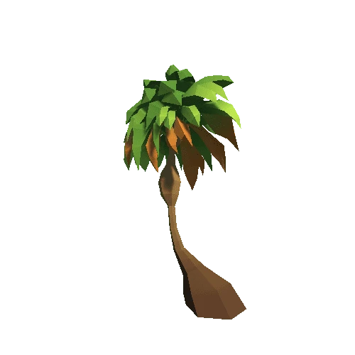 Palm-Tree_A_13