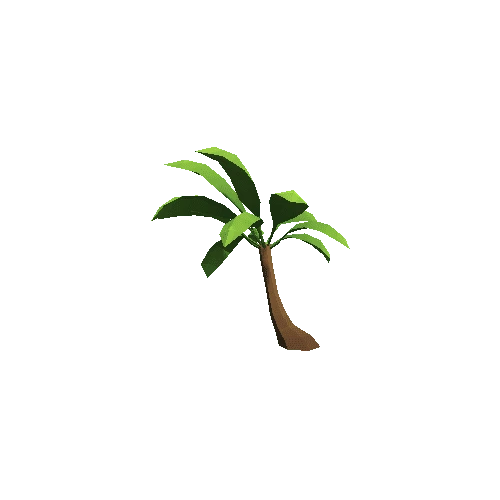 Palm-Tree_A_19