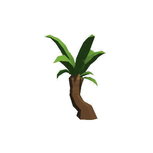 Palm-Tree_A_22