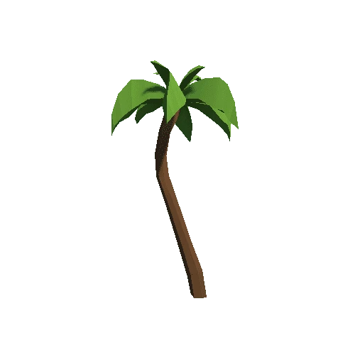 Palm-Tree_B_01