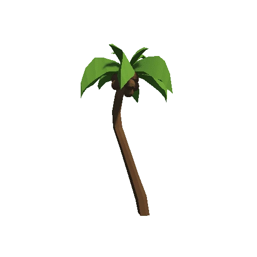 Palm-Tree_B_02