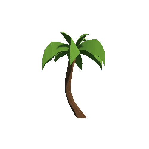 Palm-Tree_B_05