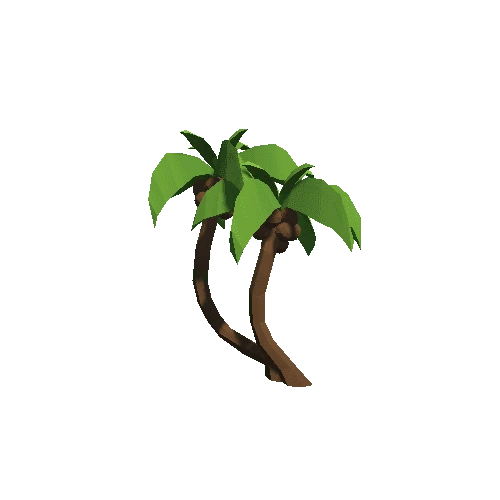 Palm-Tree_B_07